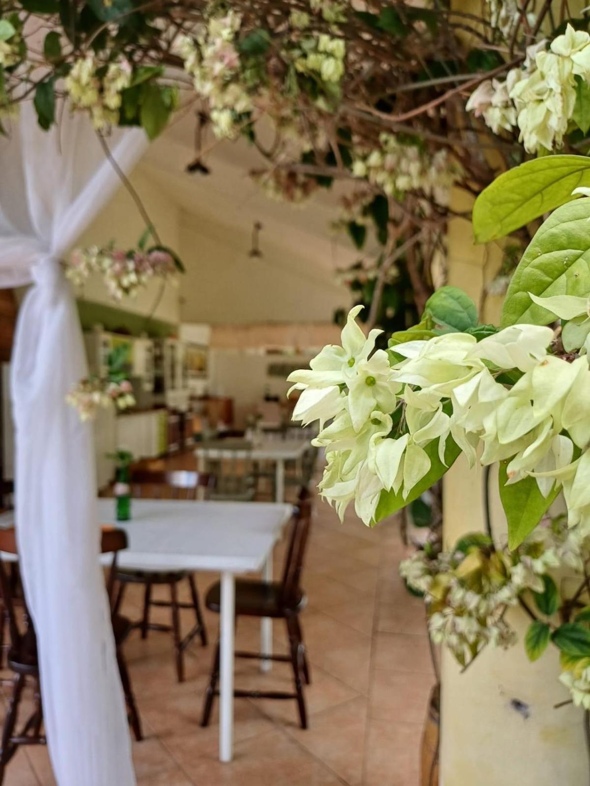 Chacara Rosa Cortiana Bed & Breakfast Sao Gabriel  Luaran gambar